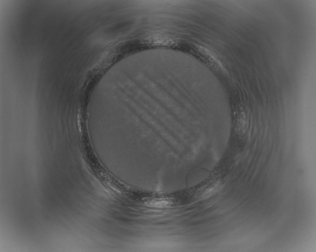 X0000074030643200609181928