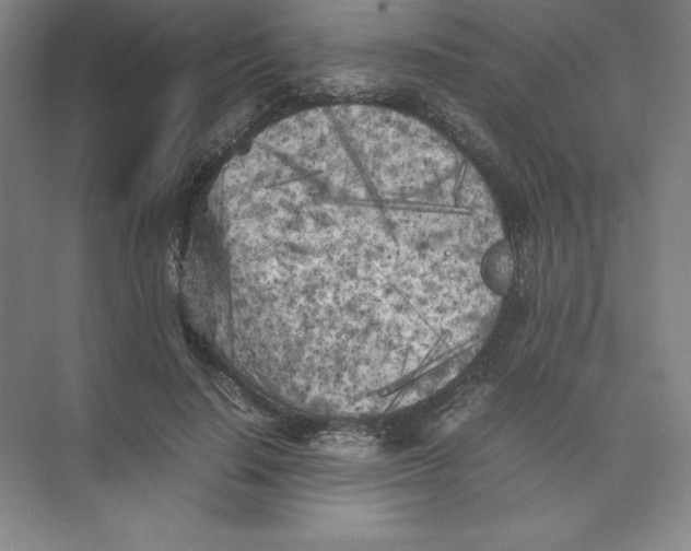 X0000074030644200609181928