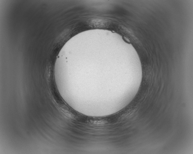 X0000074030645200609181928