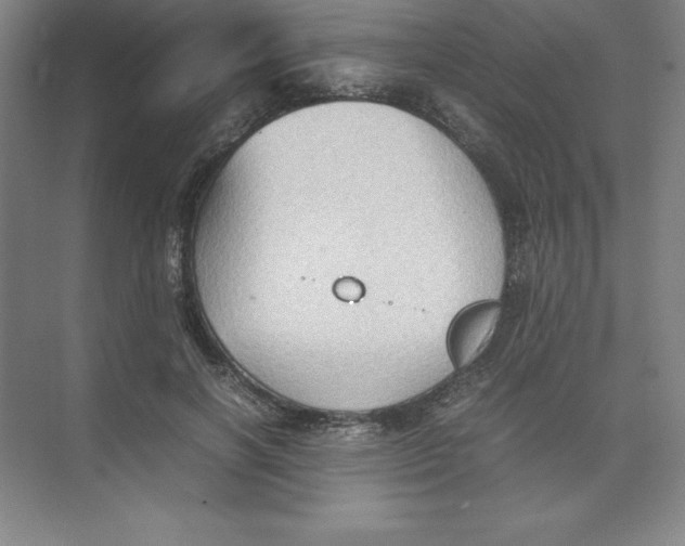 X0000074030646200609181928