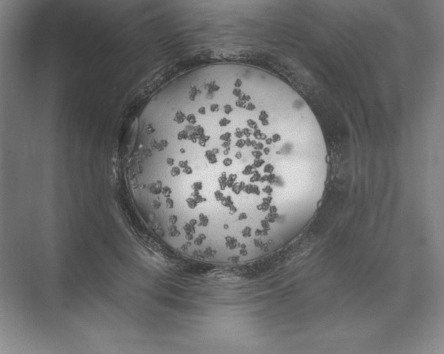 X0000074030648200609181928