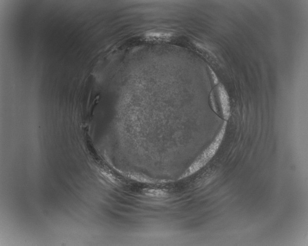 X0000074030649200609181928