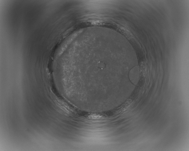 X0000074030650200609181928