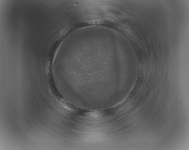 X0000074030652200609181928