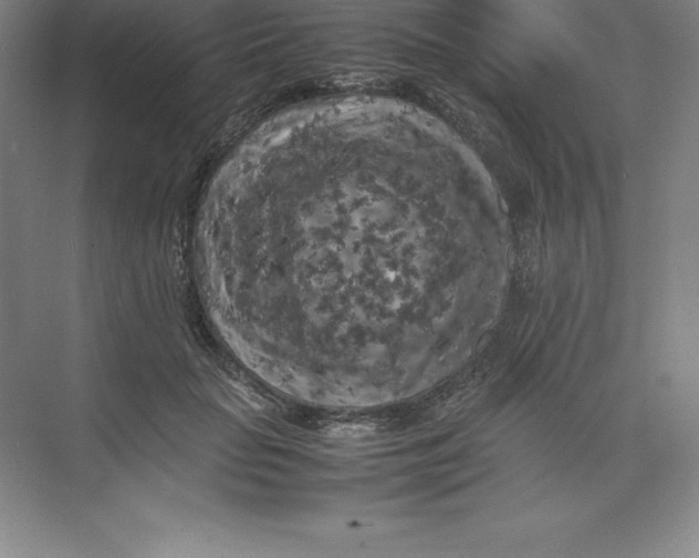 X0000074030653200609181928