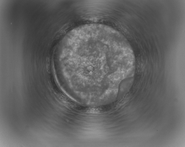 X0000074030656200609181928