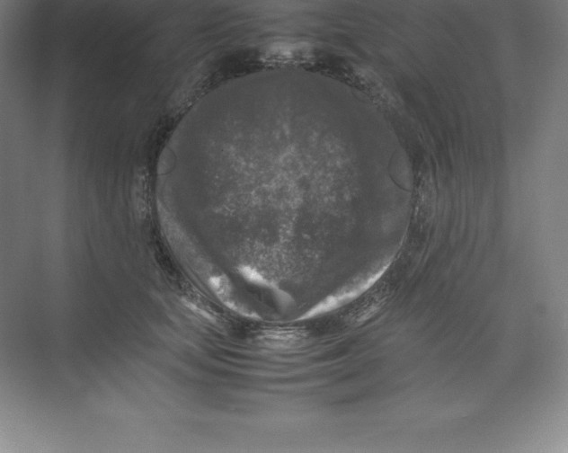 X0000074030659200609181928