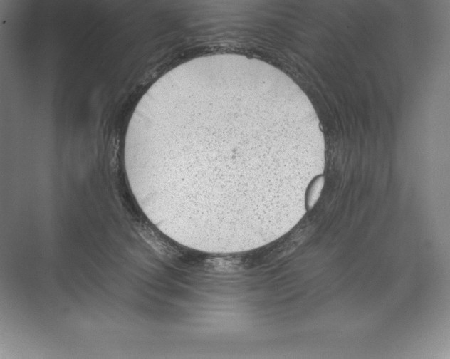 X0000074030660200609181928