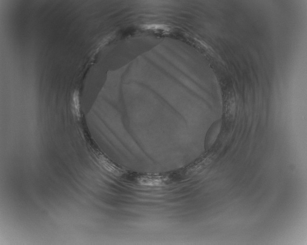 X0000074030661200609181928