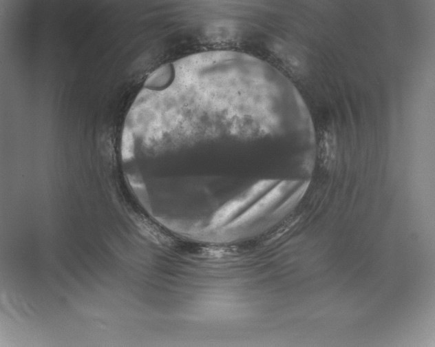 X0000074030662200609181928