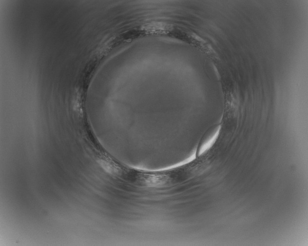 X0000074030663200609181928