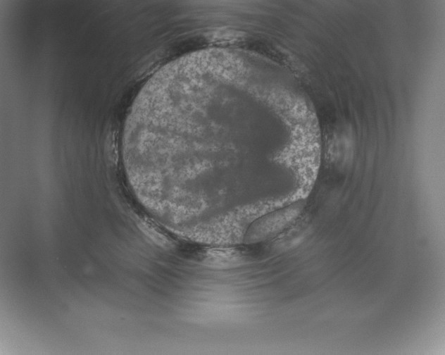 X0000074030666200609181928