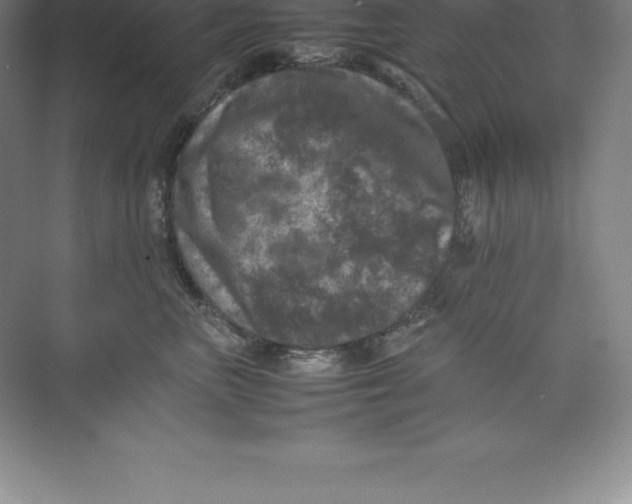 X0000074030667200609181928