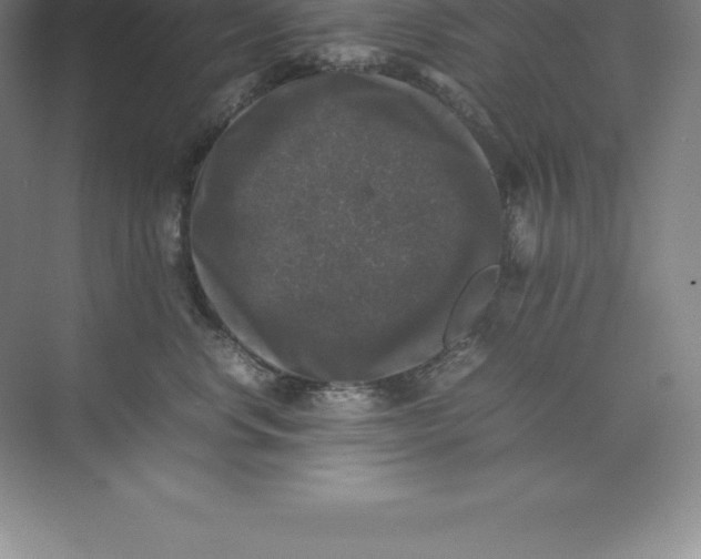 X0000074030668200609181928