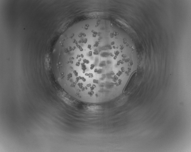 X0000074030669200609181928