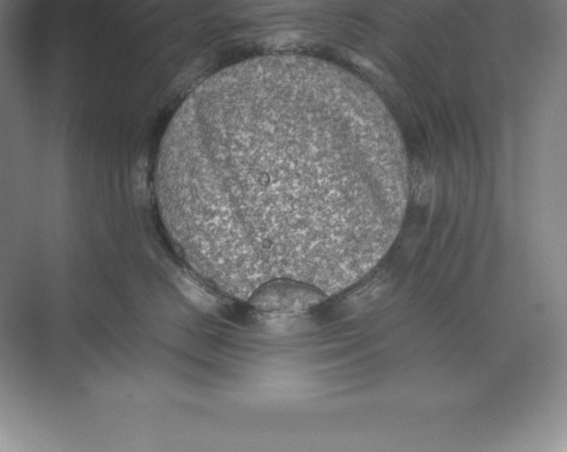 X0000074030670200609181928