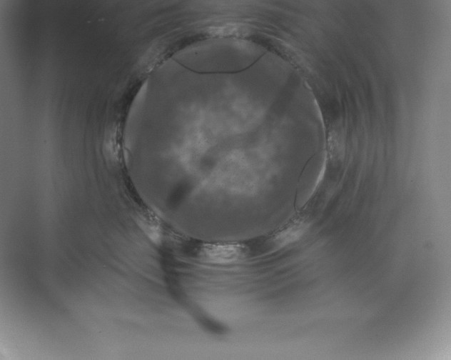 X0000074030671200609181928