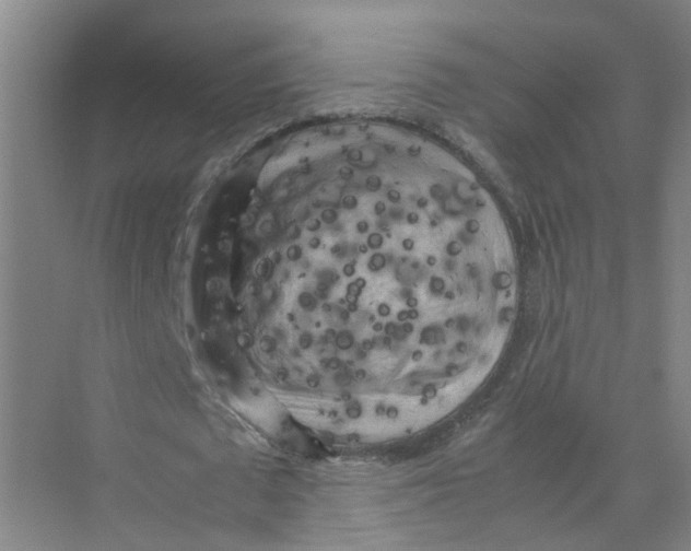 X0000074030673200609181927