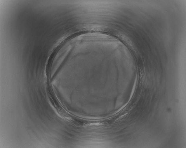 X0000074030674200609181927