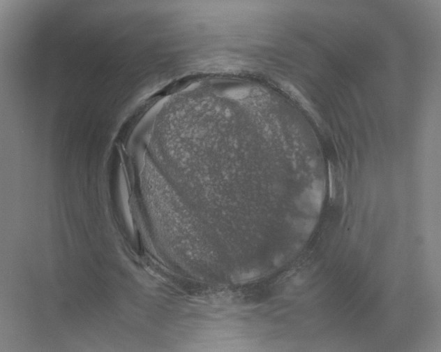 X0000074030675200609181927