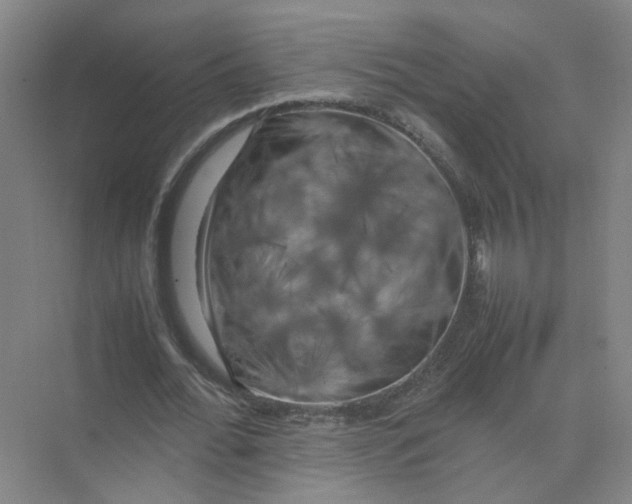 X0000074030676200609181927