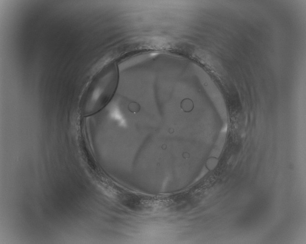 X0000074030679200609181927