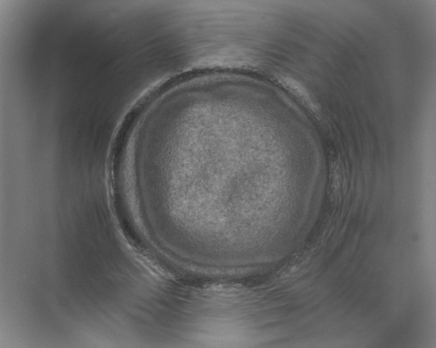 X0000074030680200609181927