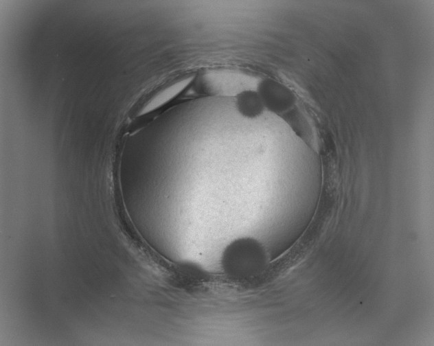 X0000074030681200609181927