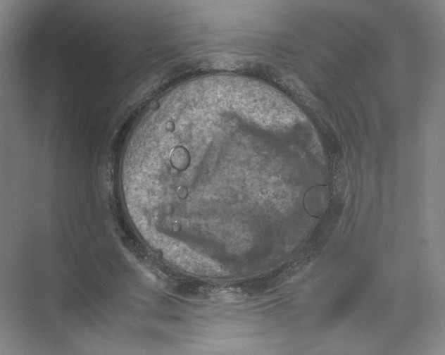 X0000074030683200609181927