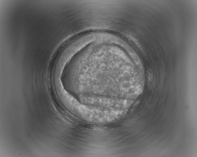 X0000074030684200609181927