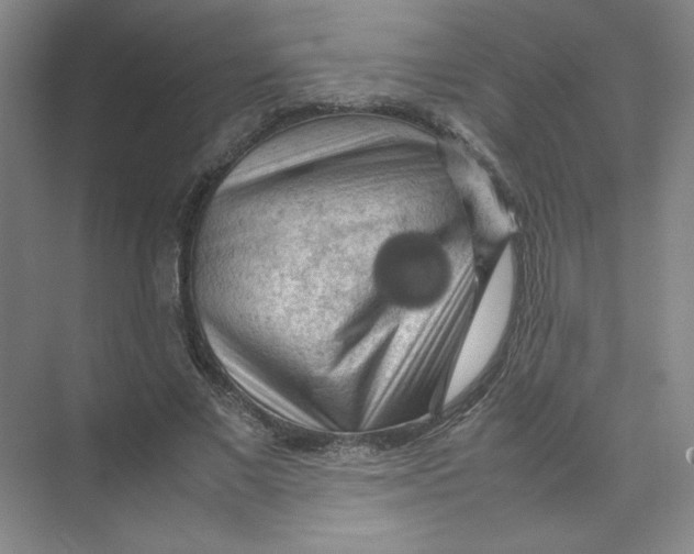 X0000074030685200609181927