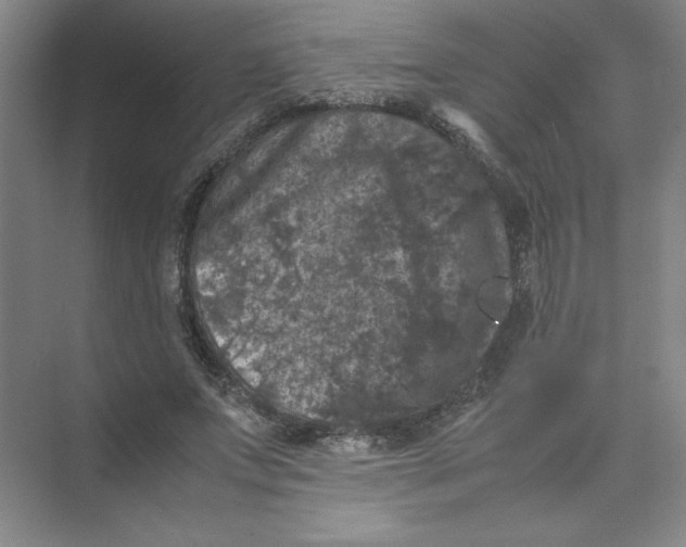 X0000074030687200609181927