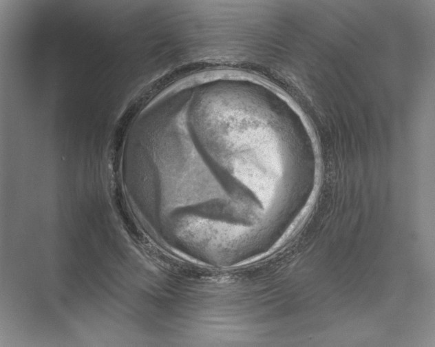 X0000074030688200609181927