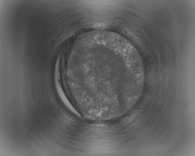 X0000074030689200609181927