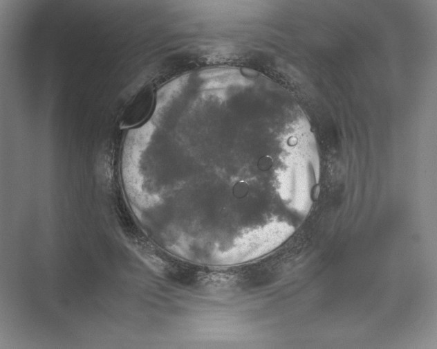 X0000074030691200609181927