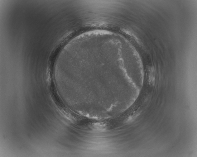 X0000074030692200609181927