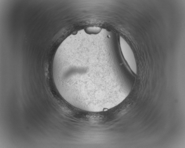 X0000074030693200609181927