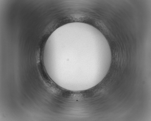 X0000074030694200609181927