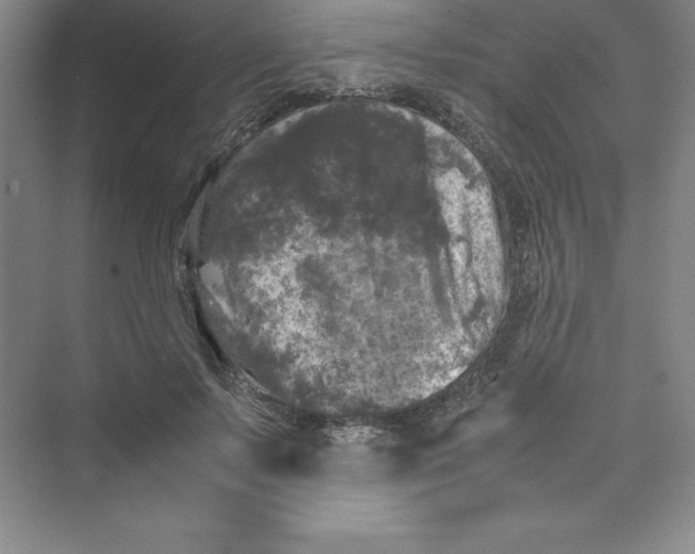 X0000074030695200609181927