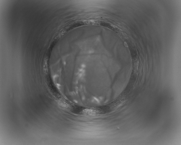 X0000074030699200609181927