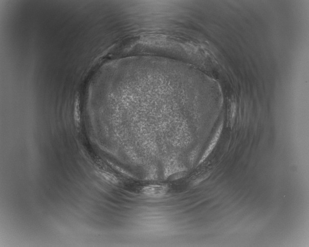 X0000074030700200609181927