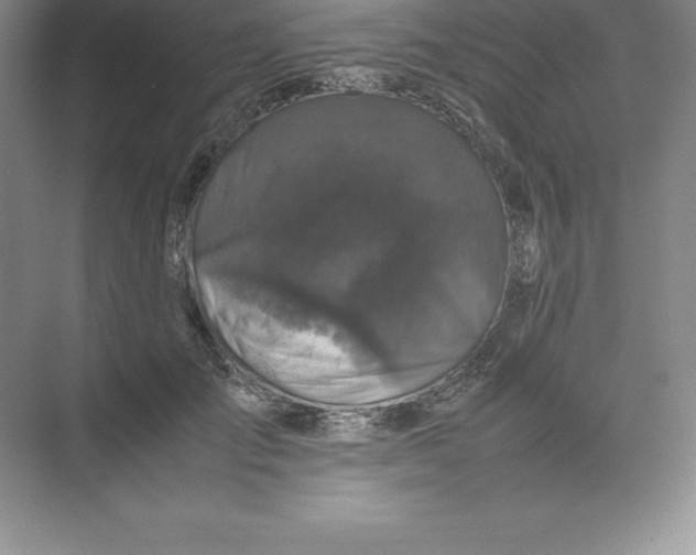 X0000074030701200609181927