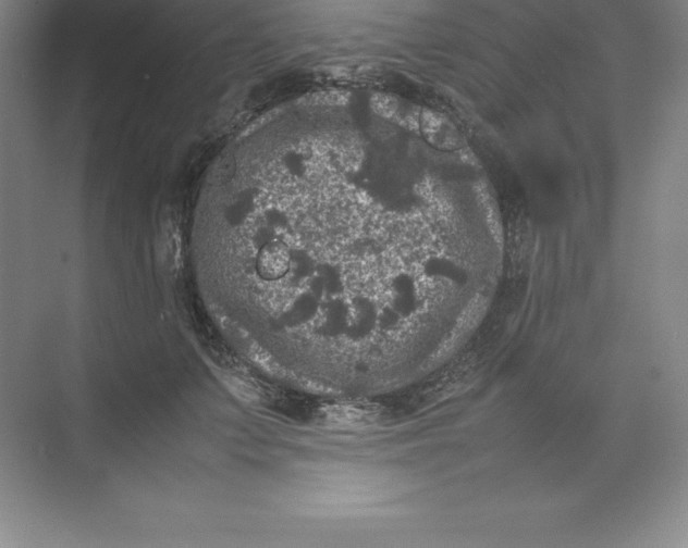 X0000074030703200609181927