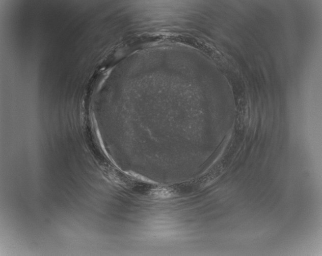 X0000074030704200609181927