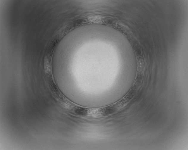 X0000074030705200609181927