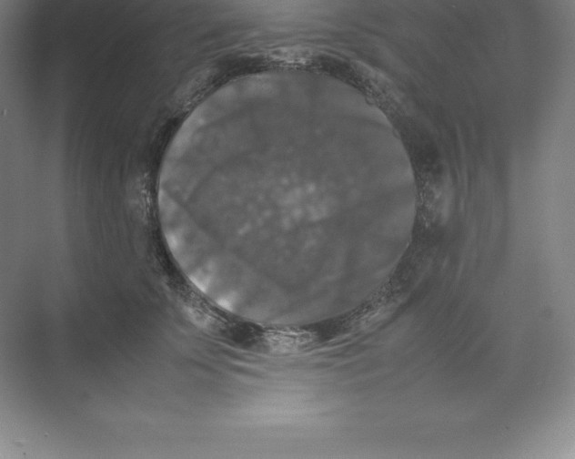 X0000074030707200609181927