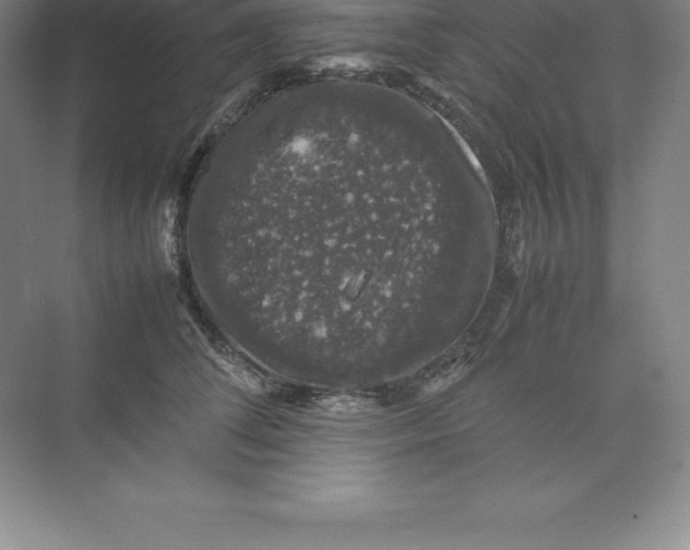 X0000074030708200609181927