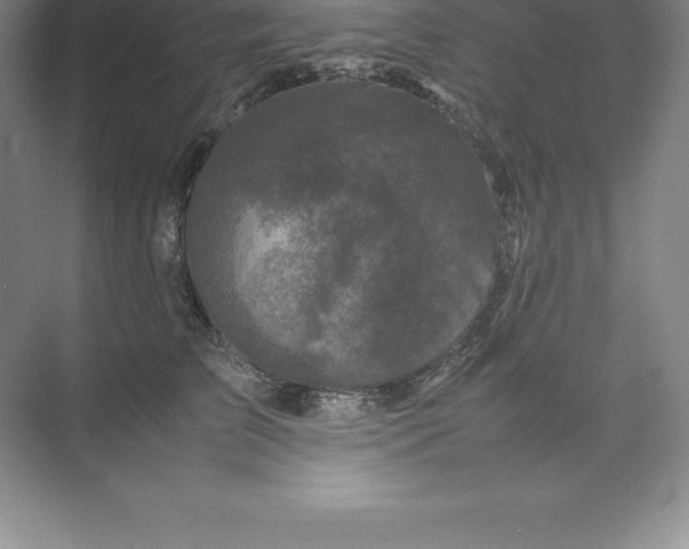 X0000074030709200609181927