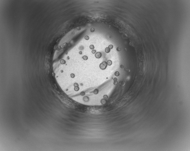 X0000074030710200609181927