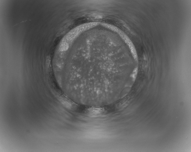 X0000074030711200609181927